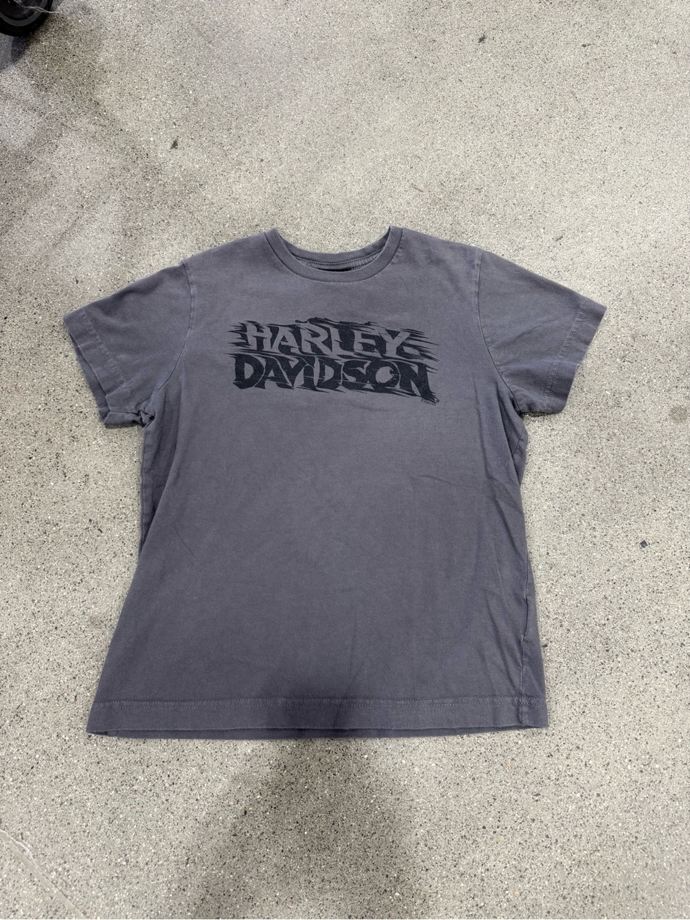 Harley-Davidson Black Hills Rapid City SD Gray Graphic T-Shirt